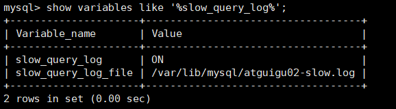 image-20221105221905738